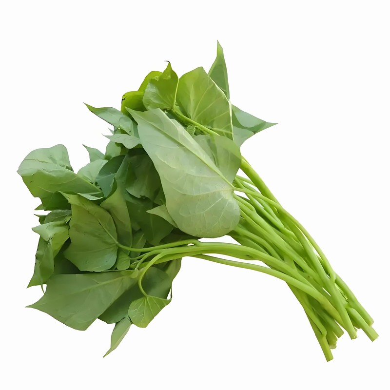 春季，兒童多吃芝麻早春